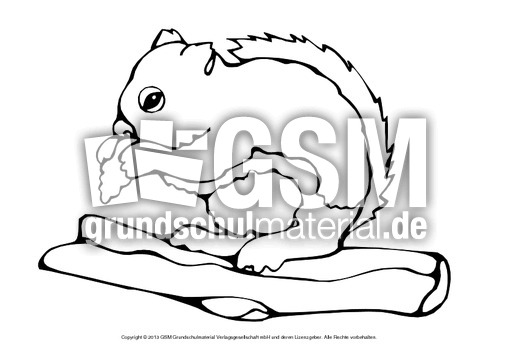 ausmalbilder a und b hörnchen ausmalbilder a und b hörnchen
